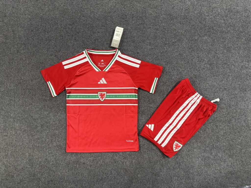 Wales Home Kids Kit