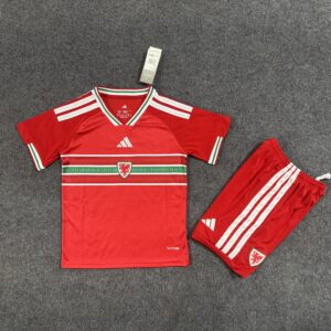 Wales Home Kids Kit